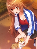 A0010 - 偶像日 免安装绿色中文版[1.02GB]|百度|秒传|微云|夸克|网盘|